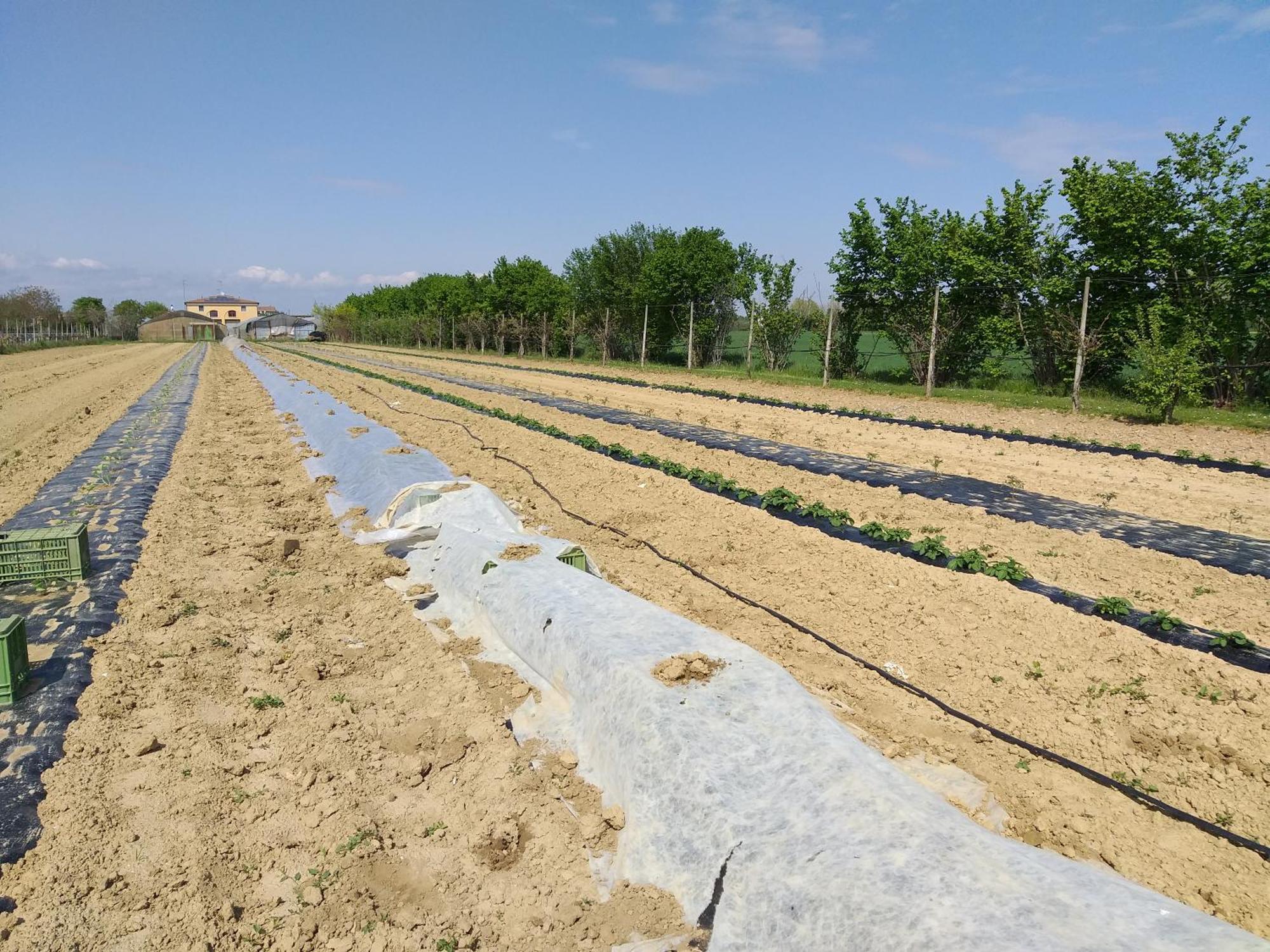 Agriturismo Il Melograno Tessera Exterior foto